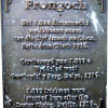 Frongoch plac